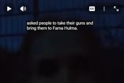 Guns to Femke